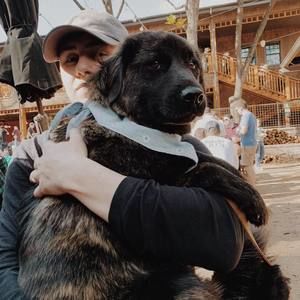 Meet your Posher, Keenan